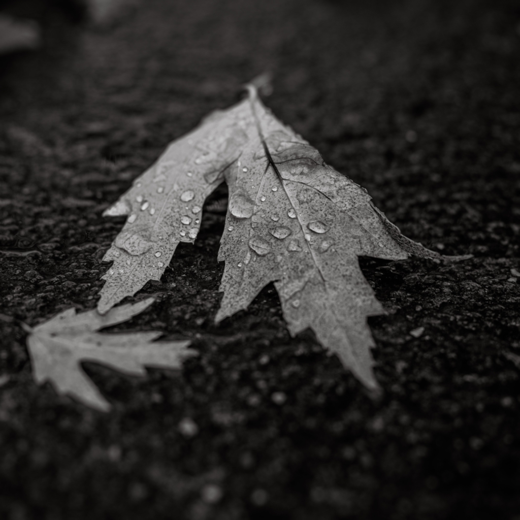 Depressione e crisi esistenziale