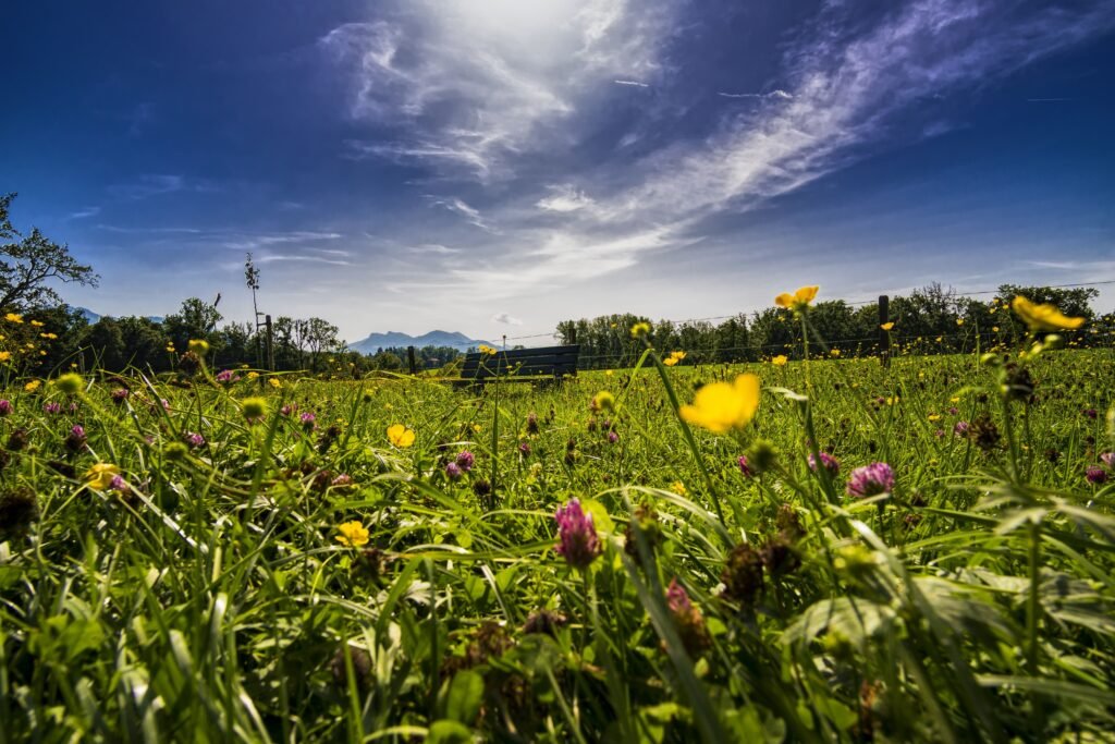 Paesaggio naturale con cielo aperto, prospettiva di cambiamento e ascolto