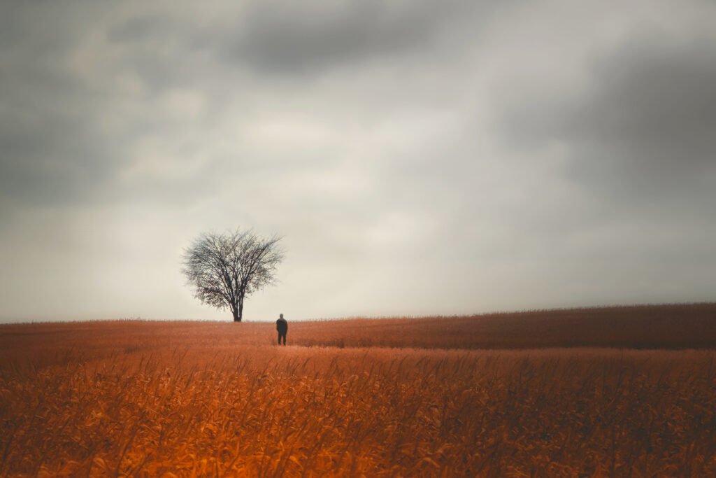 Persona solitaria ferma di fronte a un albero
