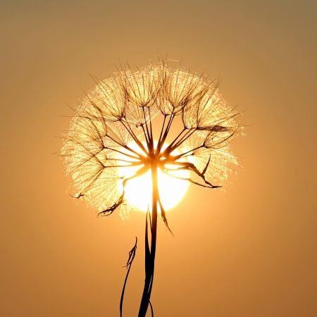 Soffione luminoso